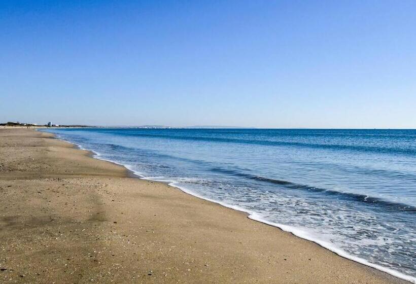 Studio Le Goéland / Cosy / Lumineux / Plage à 2 Minutes