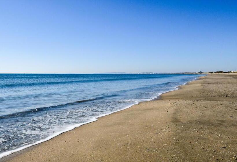 Studio Le Goéland / Cosy / Lumineux / Plage à 2 Minutes