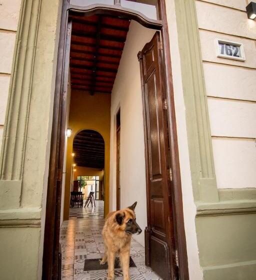 호스텔 Solar Del Río