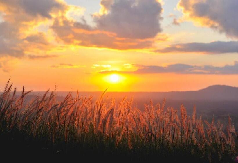 At Tree Resort Khaokho