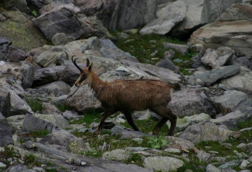 צימר Chambres D Hôtes Le Grand Chalet