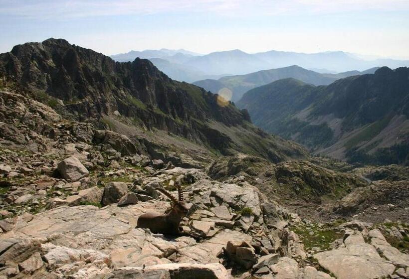 צימר Chambres D Hôtes Le Grand Chalet