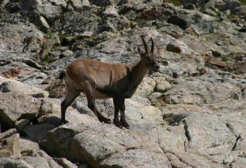 צימר Chambres D Hôtes Le Grand Chalet