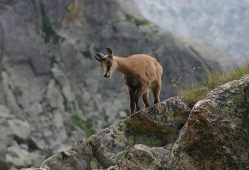 צימר Chambres D Hôtes Le Grand Chalet