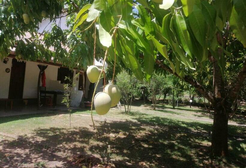 Bed and Breakfast Jungle Nature Villa