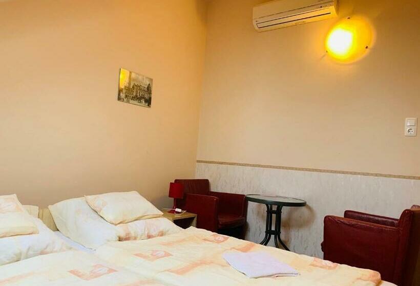 ベッドアンドブレックファースト Kinizsi Panzió