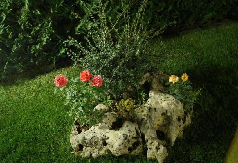 Bed and Breakfast La Casa Del Nonno