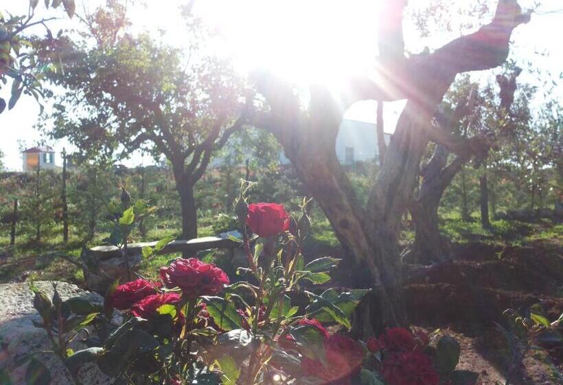 Bed and Breakfast La Casa Del Nonno