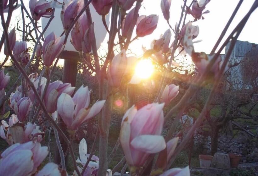 Bed and Breakfast La Casa Del Nonno