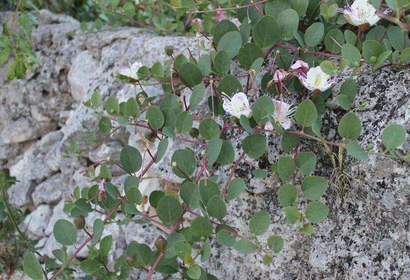 Bed and Breakfast La Casa Del Nonno