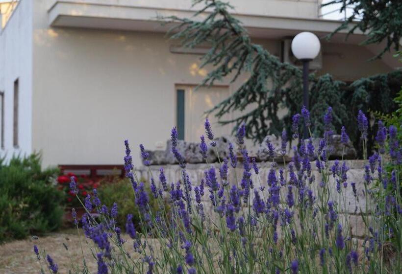 Bed and Breakfast La Casa Del Nonno