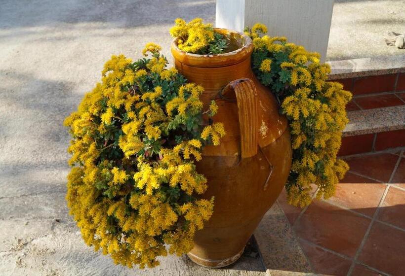 Bed and Breakfast La Casa Del Nonno