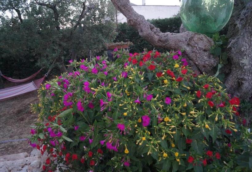 Bed and Breakfast La Casa Del Nonno