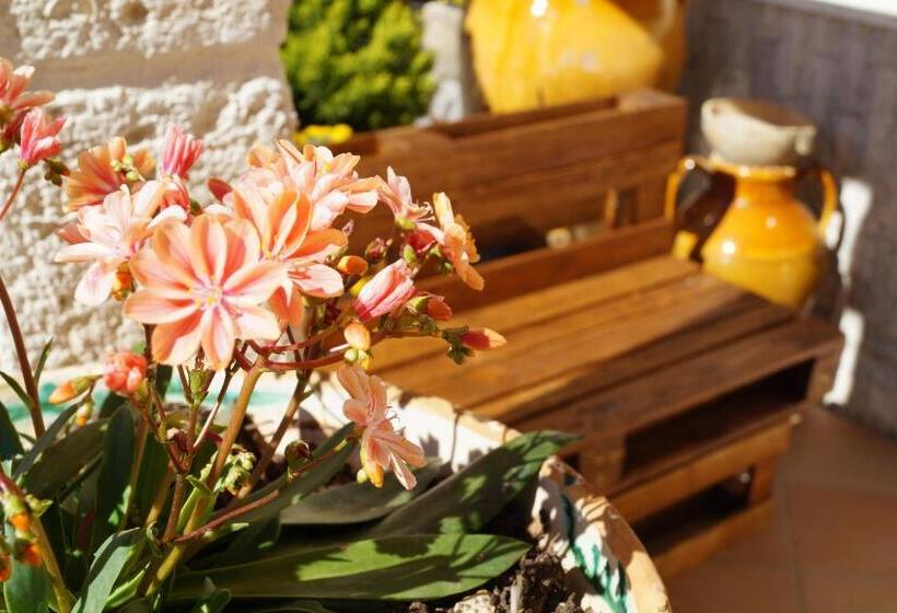 Bed and Breakfast La Casa Del Nonno