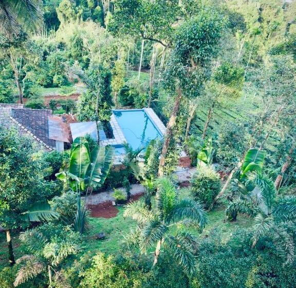 住宿加早餐  Vythiri Misty Wind Holiday Homes