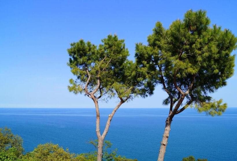 צימר Sea View Sirolo Di Amedeo