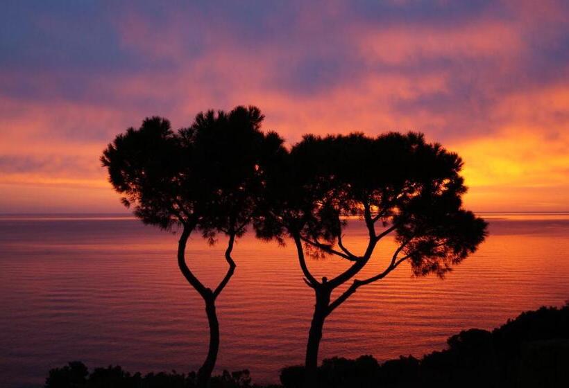 צימר Sea View Sirolo Di Amedeo