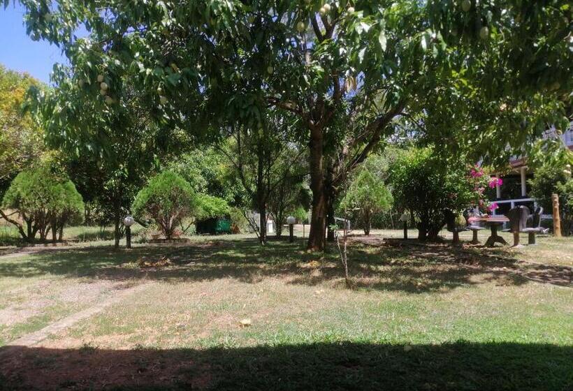 Bed and Breakfast Jungle Nature Villa