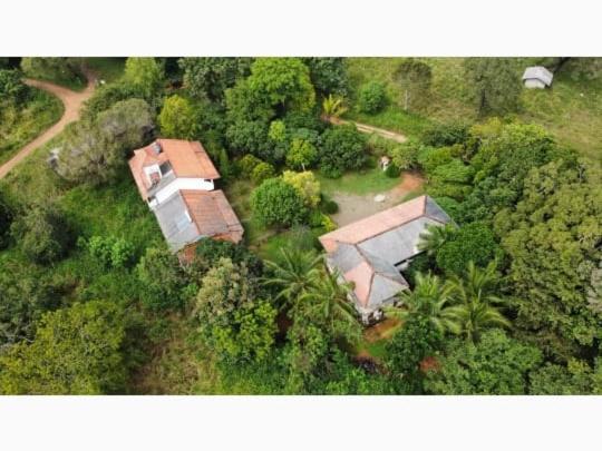 Bed and Breakfast Jungle Nature Villa