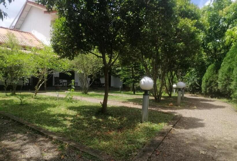 Bed and Breakfast Jungle Nature Villa