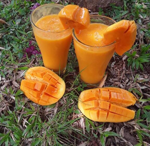 Bed and Breakfast Jungle Nature Villa