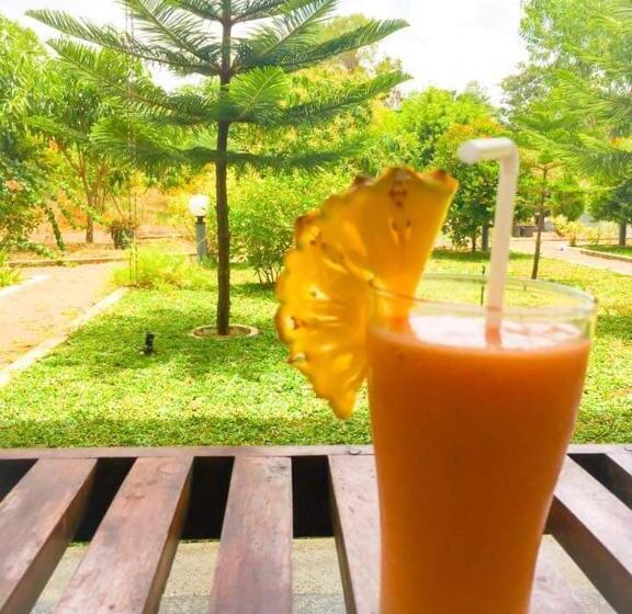 Bed and Breakfast Jungle Nature Villa