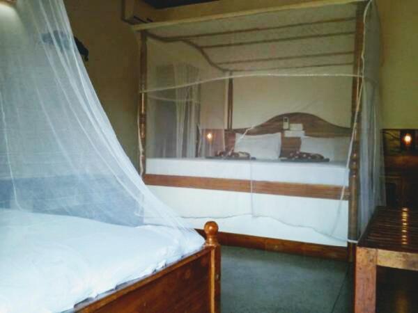 Bed and Breakfast Jungle Nature Villa