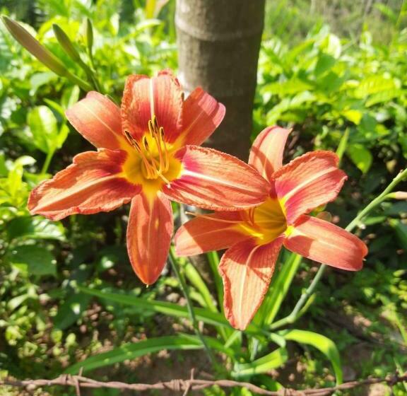 민박 Sitha S Heaven