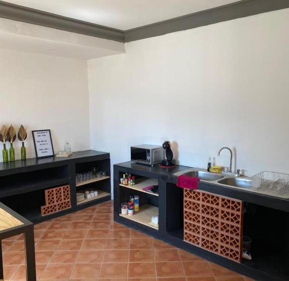 Casa Ceiba/dpto. Entero Cerca Del Centro Histórico