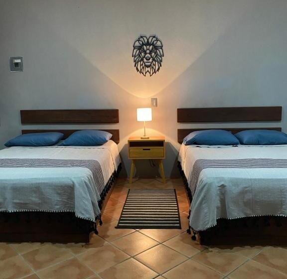 Casa Ceiba/dpto. Entero Cerca Del Centro Histórico