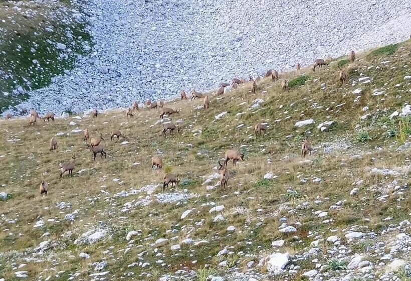 Casa Vacanze Michelino