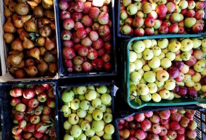 Dimora Storica Nel Cuore Della Toscana