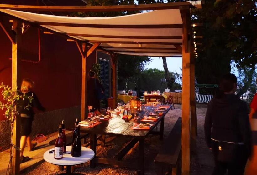 Dimora Storica Nel Cuore Della Toscana