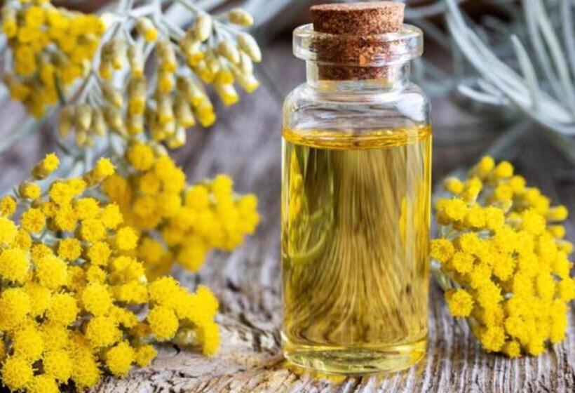 Dimora Storica Nel Cuore Della Toscana