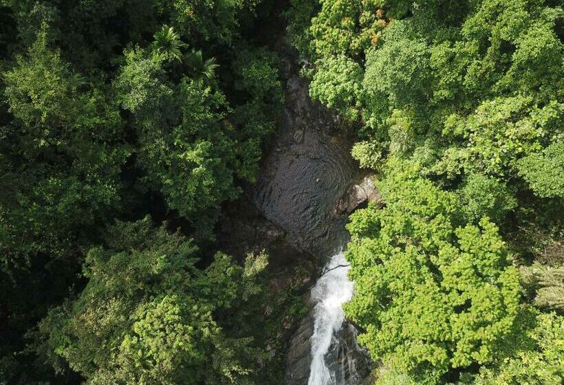 Gallene Gala Nature Resort