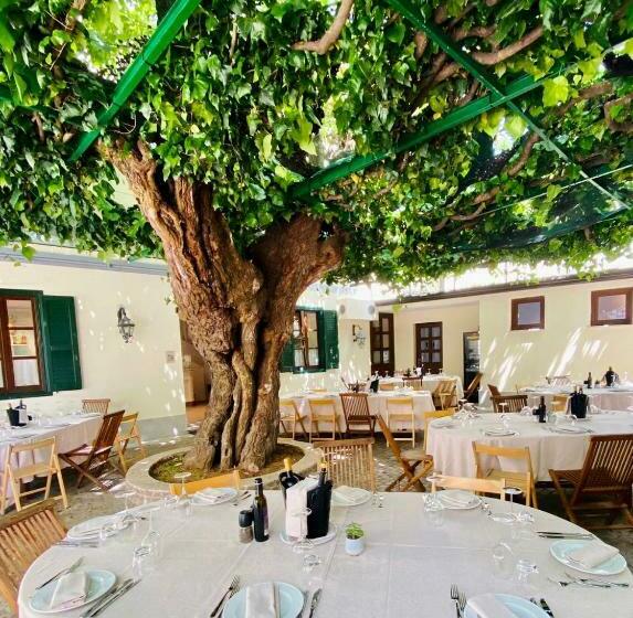 Отель Antica Locanda Al Gelso