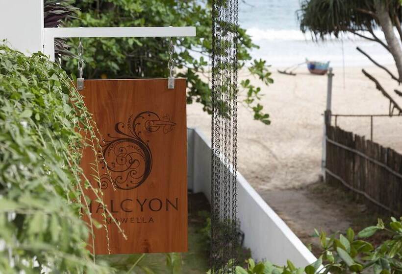 فندق Halcyon Mawella