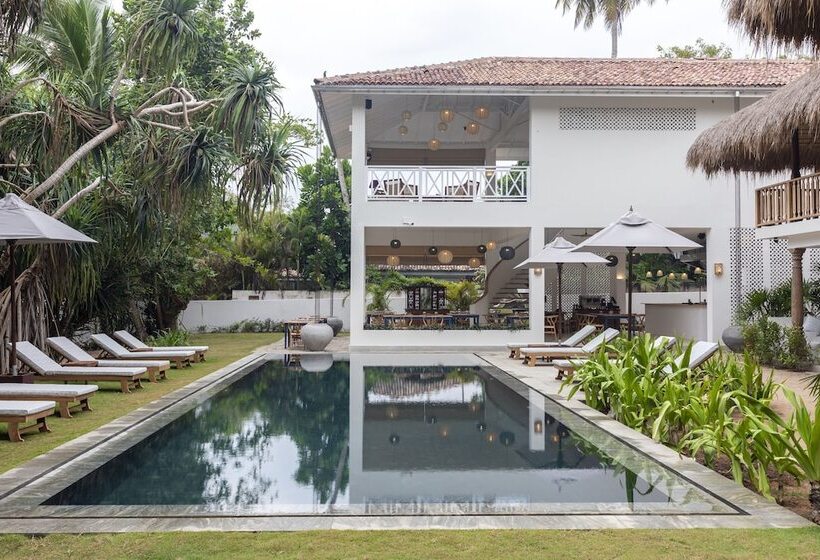 فندق Halcyon Mawella