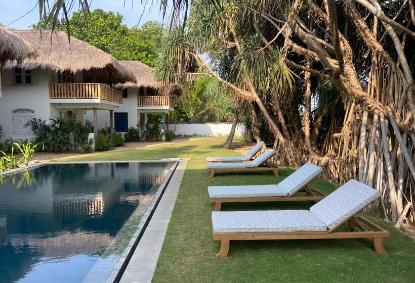 فندق Halcyon Mawella