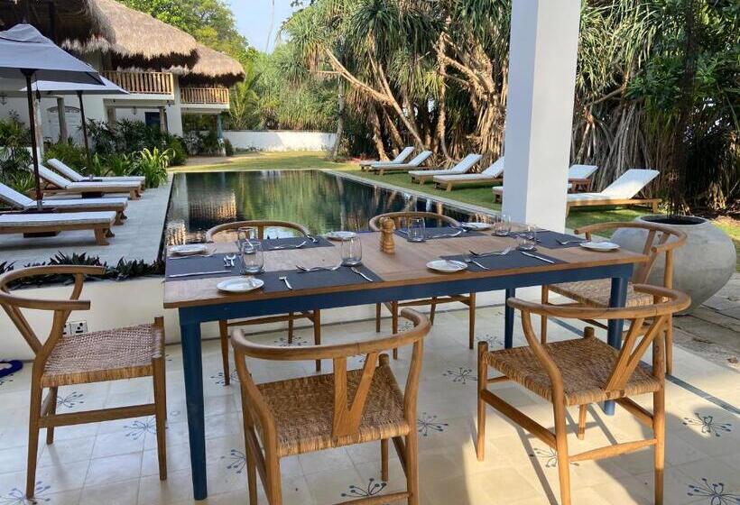 فندق Halcyon Mawella