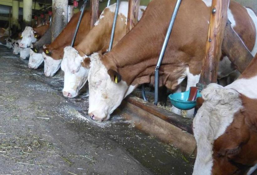 酒店 Biohof Bernhard