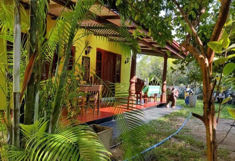 Отель Sigiriya Rock Star Home Stay