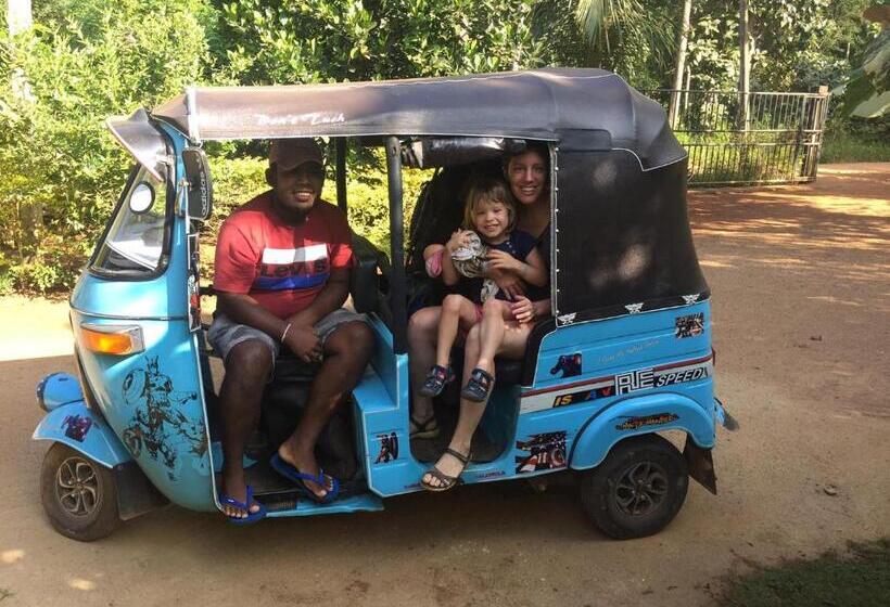 Отель Sigiriya Rock Star Home Stay