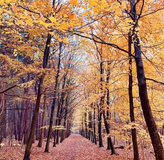 House Santa Maria   North Sea Stays