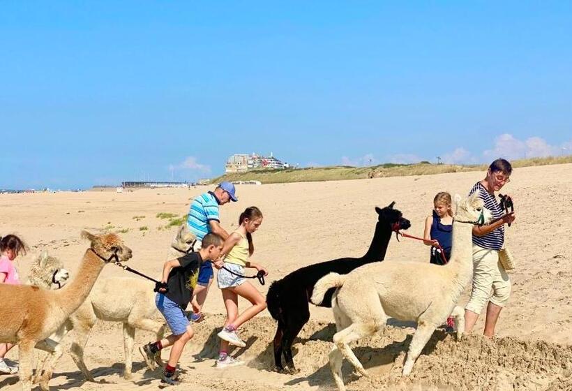 House Santa Maria   North Sea Stays