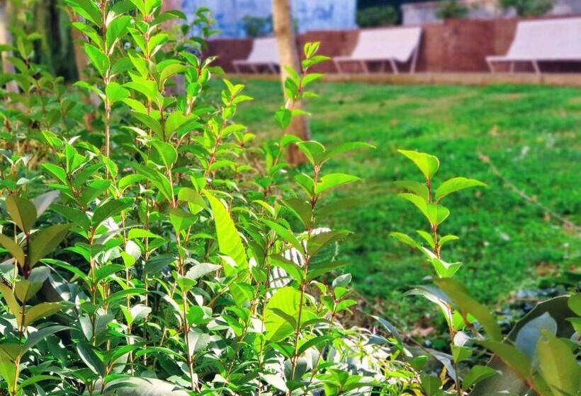 Las Mejores Vistas De Salamanca!!!