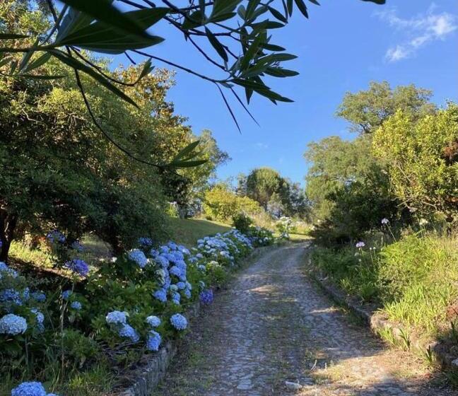 Lovely 6 Bed Cottage In Barcelos   Vila Cova