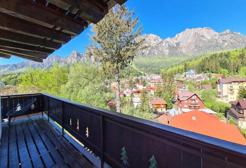 펜션 Casa Florescu