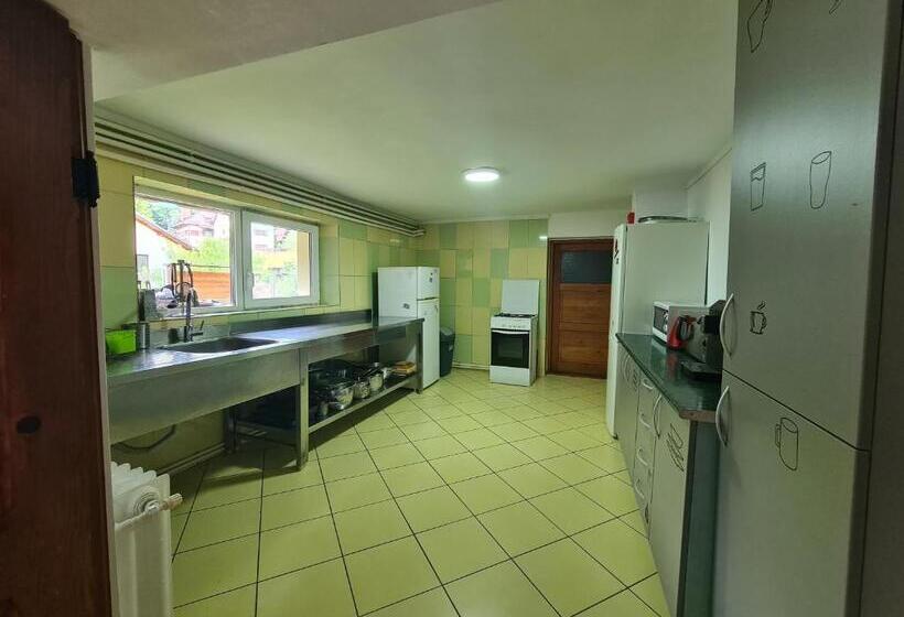 펜션 Casa Florescu