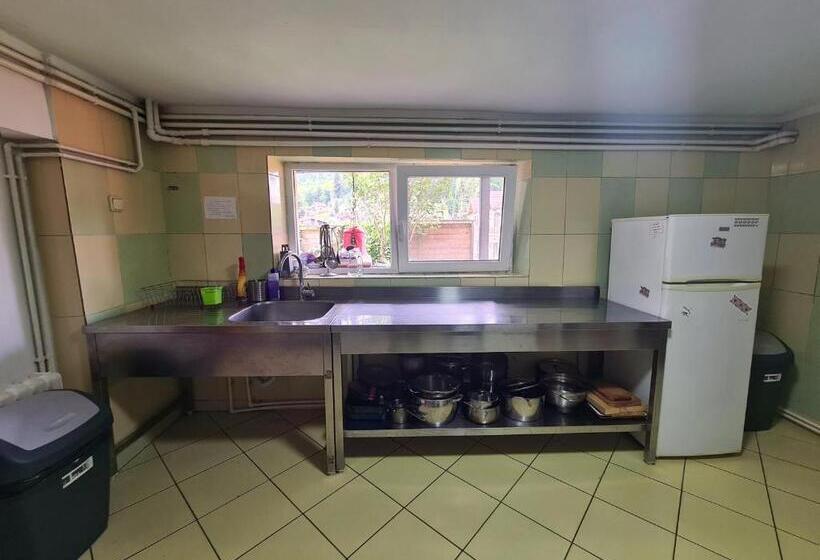 펜션 Casa Florescu